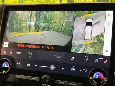 TOYOTA ALPHARD - 4