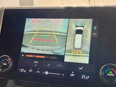 2025 Toyota ALPHARD 缩略图 13