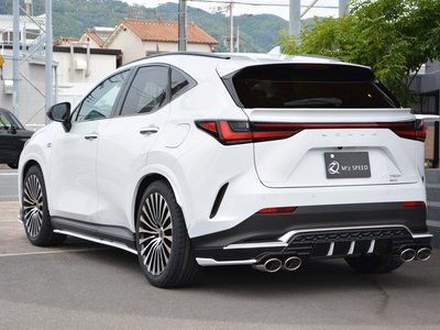LEXUS NX - 6