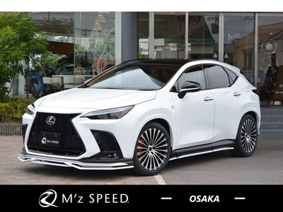 LEXUS NX - 1