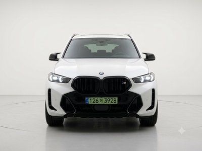 BMW X6 - 1