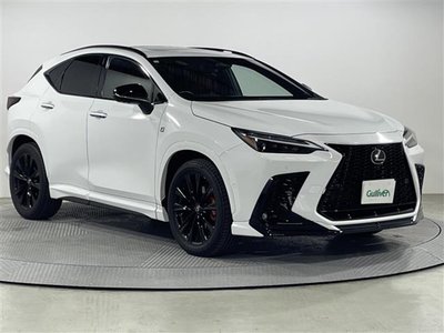 2023 Lexus NX — фото 1