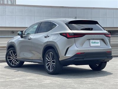 2022 Lexus NX 缩略图 75