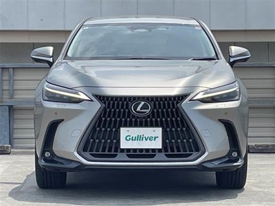2022 Lexus NX 缩略图 71