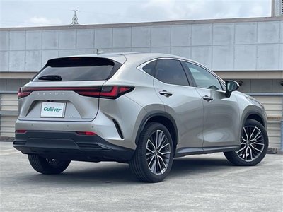 2022 Lexus NX 缩略图 82