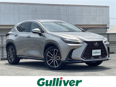 LEXUS NX - 1