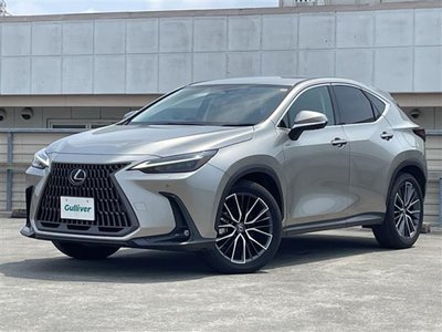 2022 Lexus NX 缩略图 79