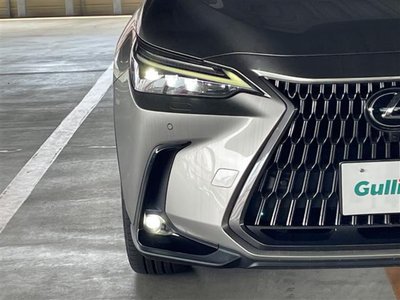 2022 Lexus NX 缩略图 66