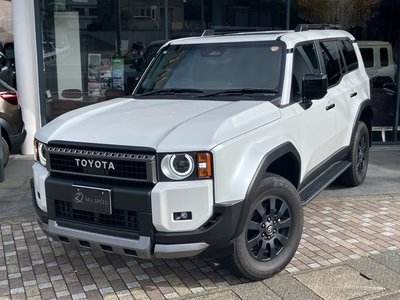 2024 Toyota LAND CRUISER 250 — фото 10