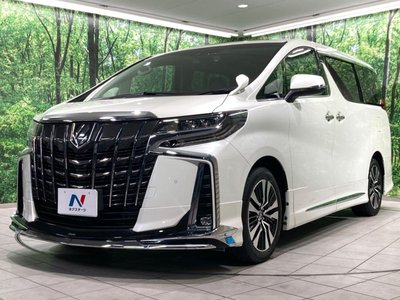2023 Toyota ALPHARD — миниатюра 25
