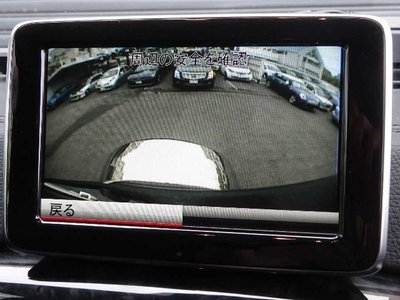 2015 Mercedes-BENZ OTHERS 缩略图 13