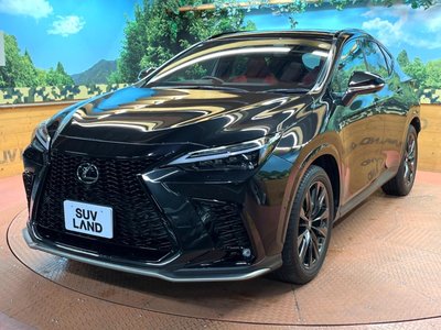 صورة مصغرة 56 لـ 2022 Lexus NX