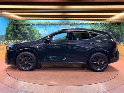صورة مصغرة 55 لـ 2022 Lexus NX