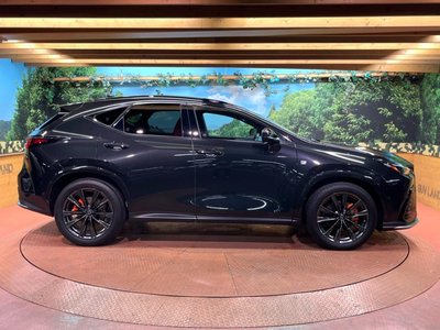 صورة مصغرة 58 لـ 2022 Lexus NX