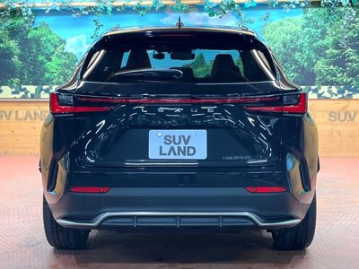 صورة مصغرة 17 لـ 2022 Lexus NX