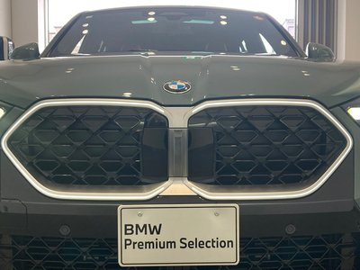 2025 BMW X2 缩略图 54