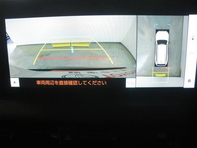 TOYOTA LAND CRUISER 250 - 8