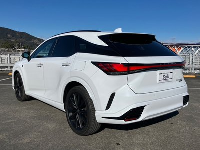 LEXUS RX - 6