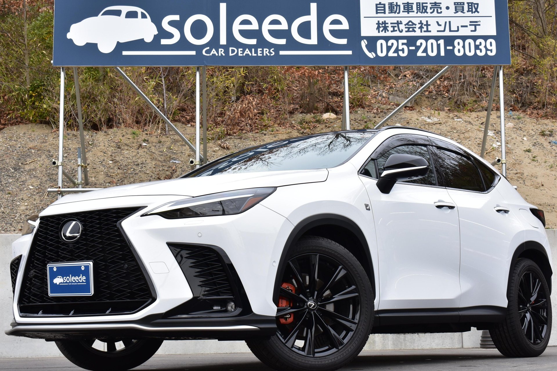 LEXUS NX - View 1