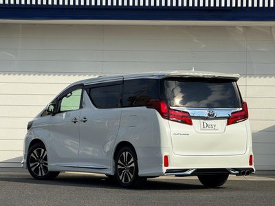 2022 Toyota ALPHARD — миниатюра 13
