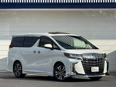 2022 Toyota ALPHARD — миниатюра 12
