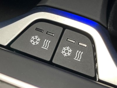 2022 BMW X7 缩略图 51