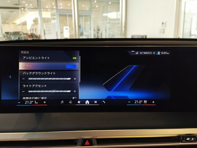 2024 BMW IX 缩略图 31