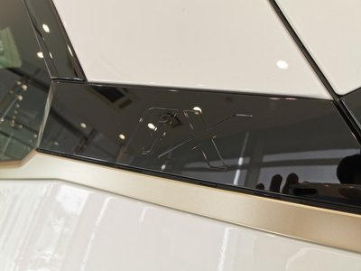 2024 BMW IX 缩略图 57