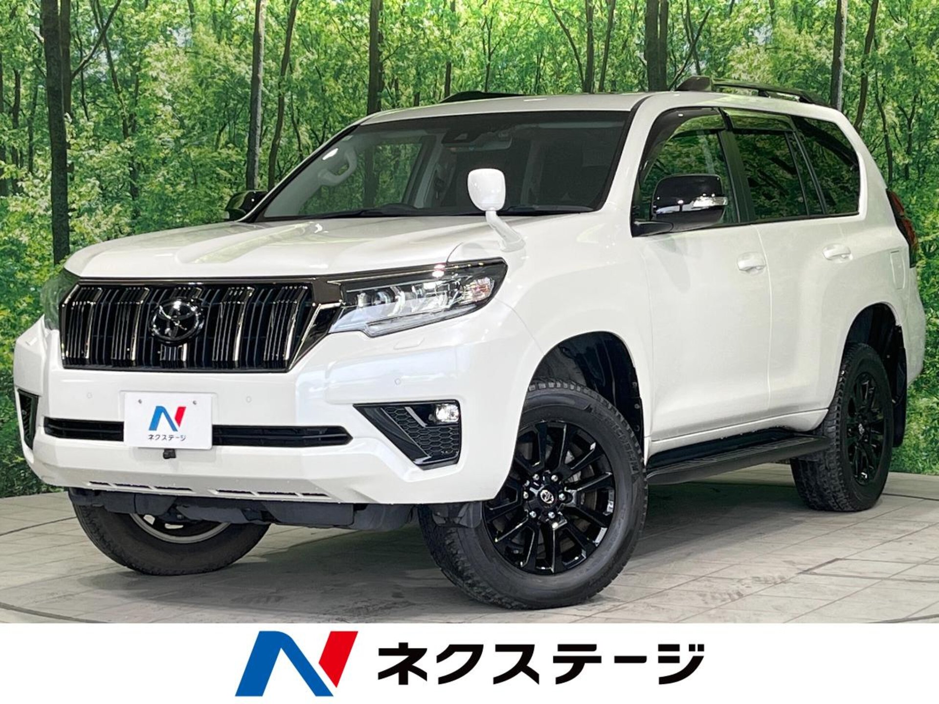 TOYOTA LAND CRUISER PRADO - View 1
