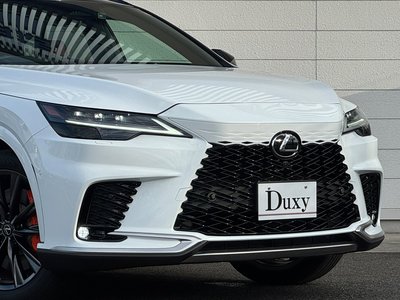 LEXUS RX - 6