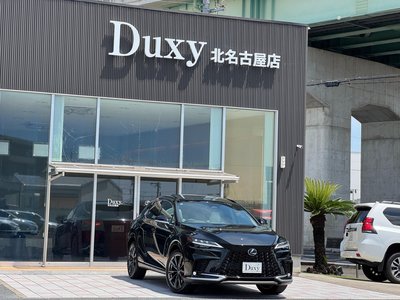 2025 Lexus RX — миниатюра 14