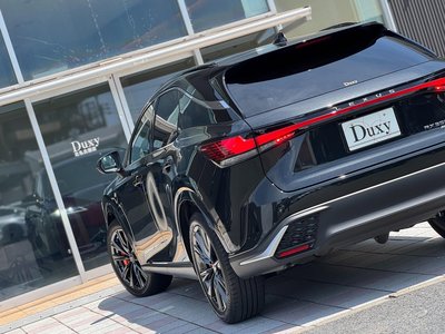 2025 Lexus RX — миниатюра 38