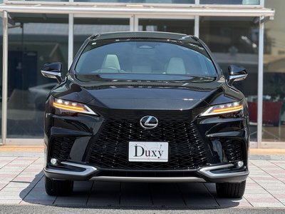 2025 Lexus RX — миниатюра 16