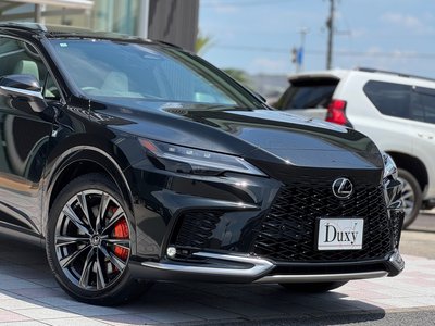 2025 Lexus RX — миниатюра 18