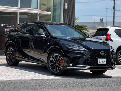 2025 Lexus RX — миниатюра 17