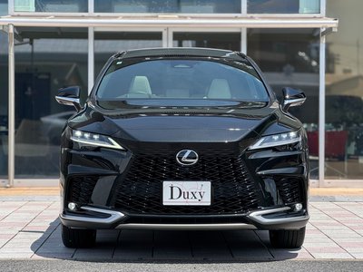 2025 Lexus RX — миниатюра 15