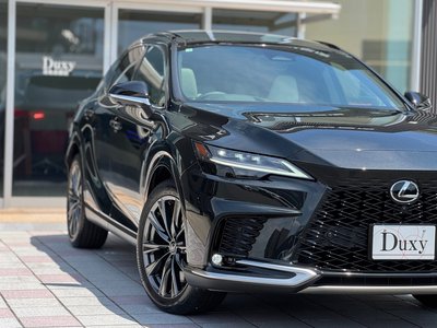 2025 Lexus RX — миниатюра 21