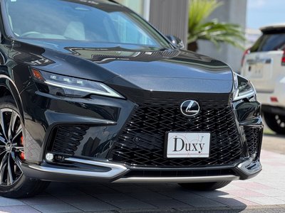 2025 Lexus RX — миниатюра 19