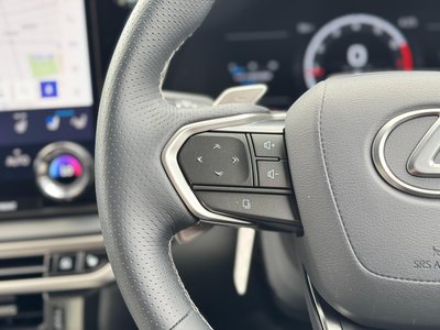 2025 Lexus RX — миниатюра 64