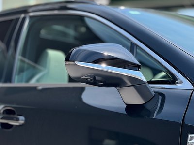 2025 Lexus RX — миниатюра 27