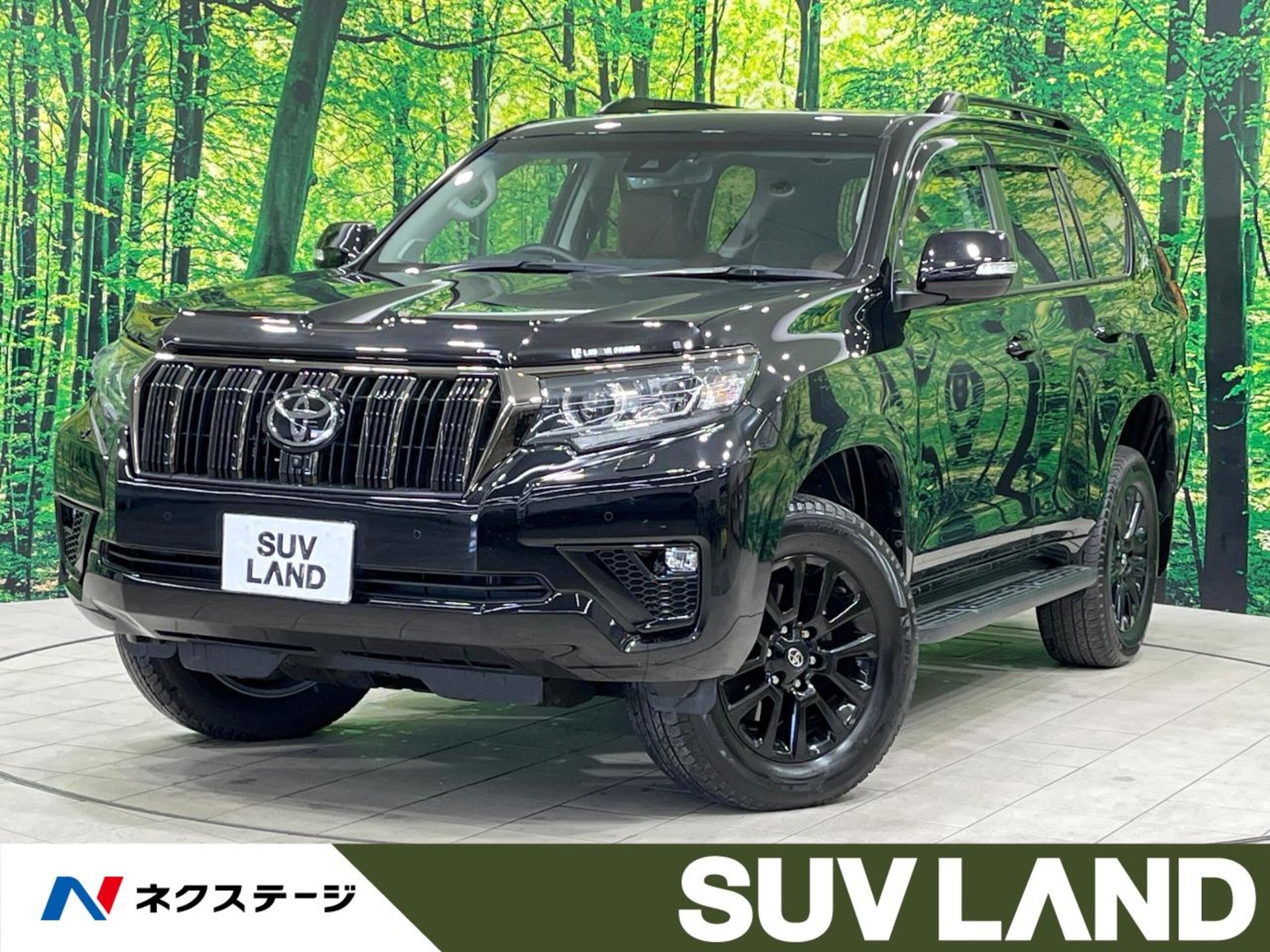 TOYOTA LAND CRUISER PRADO - View 1