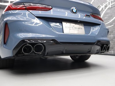 2019 BMW 8 SERIES 缩略图 45