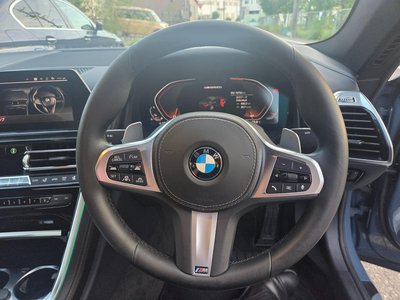 2019 BMW 8 SERIES 缩略图 64