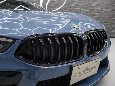 2019 BMW 8 SERIES 缩略图 19