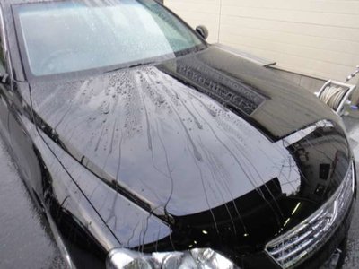2019 BMW 8 SERIES 缩略图 82