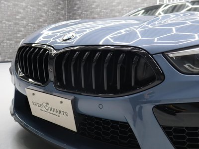 2019 BMW 8 SERIES 缩略图 35
