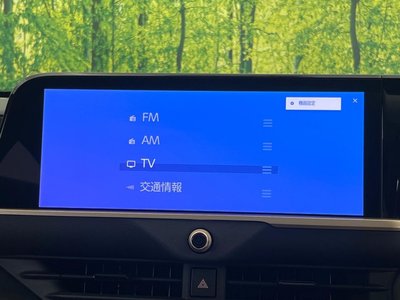 2024 Toyota CROWN SPORT 缩略图 37