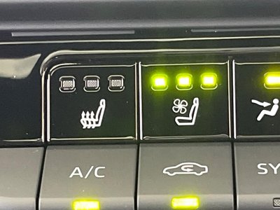 2024 Toyota CROWN SPORT 缩略图 42