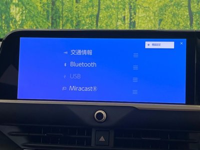 2024 Toyota CROWN SPORT 缩略图 38
