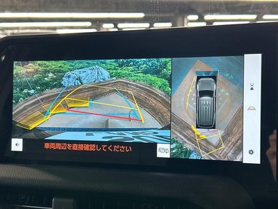 TOYOTA LAND CRUISER 250 - 6